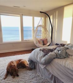 a dog laying on top of a white rug next to a bed in a bedroom