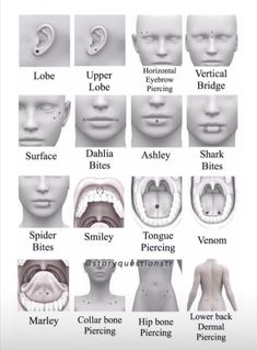 an image of different types of human body parts and their corresponding features, including the mouth