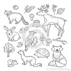 the forest animals and plants coloring page