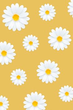 many white daisies on a yellow background with one flower in the center and two petals at the bottom