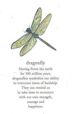 a dragonfly is shown on the back of a card that reads,'dragonfly having flown the earth for 300 million years, dagonics symbolize our ability to overcome