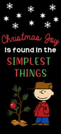 a charlie brown christmas card with the words, christmas joy is found in the simplest things