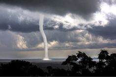 a very tall tornado is coming out of the sky over some trees in front of a large body of water