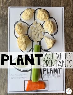 If you are looking for print and go science-based printables for your plant unit then you will love Plant Worksheets for Kindergarten are perfect for you I Can Eat A Whole Plant, Plant Parts We Eat, Plant Parts We Eat Worksheet, Plants Preschool, Plant Reproduction