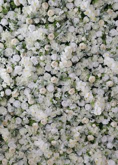 many white flowers are arranged together on the wall