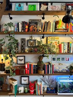 a bookshelf filled with lots of books and plants