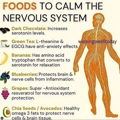 Calm The Nervous System, Herbs For Health, The Nervous System