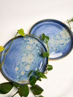 two blue plates sitting on top of each other with plants growing out of the rims