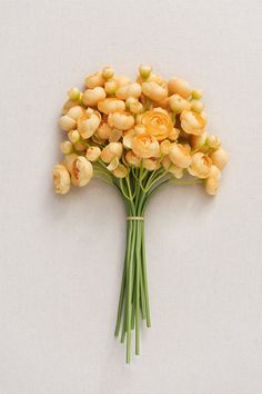 a bunch of flowers that are sitting on a white surface with the stems still attached