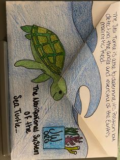 a drawing of a sea turtle on top of a piece of paper with words written below it