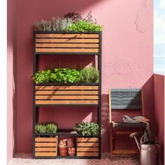 a shelf with plants on it in front of a pink wall