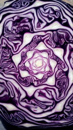 an image of a red cabbage in the middle of it's cut into pieces