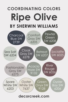 Ripe Olive SW-6209 Coordinating Colors by Sherwin-Williams Dark Olive Sherwin Williams, Sw Sanctuary Paint Color, Mudroom Ideas Entryway Paint Colors, Sherwin Williams Olive Green, Olive Sherwin Williams, Ripe Olive Sherwin Williams, Sw Ripe Olive, Paint 2024, Olive Kitchen