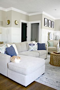 a living room filled with furniture and a cat laying on top of the couches