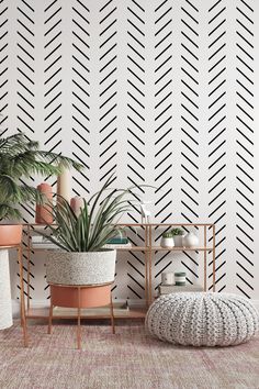 two potted plants in front of a black and white wall