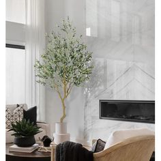 a living room filled with furniture and a plant on top of a wooden coffee table