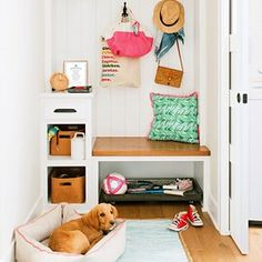 a brown dog laying in a bed on top of a wooden floor next to a white wall