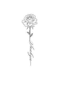 a drawing of a rose with the word love written in cursive writing on it