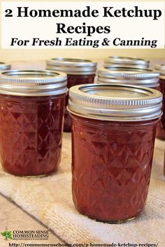 homemade ketchup recipe for fresh eating and canning with text overlay that reads 2 homemade ketchup recipes for fresh eating and canning