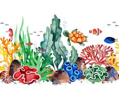 an underwater scene with corals, seaweed and other marine life on a white background