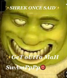 an image of a creepy face with the words shrekonce said get outa mah