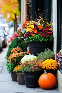 a row of potted plants sitting on the side of a building