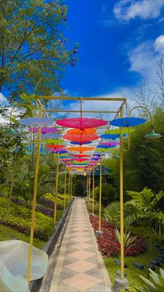 many colorful umbrellas are lined up on the walkway in front of trees and bushes