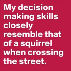 a red sign that says, my decision making skills closely resembles that of a squirrel when crossing the street