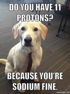 a dog sitting on the floor wearing a tie with caption saying do you have 11 protons? because you're soum fine