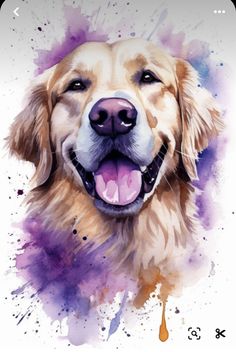 a watercolor painting of a golden retriever dog's face with his tongue out