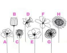 flowers are shown with the letters b, f, and h