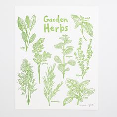 the garden herbs poster is displayed next to some green leaves and plants on a pink surface