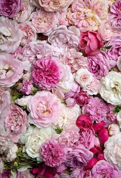 a bunch of pink and white flowers are in the middle of a large pile,