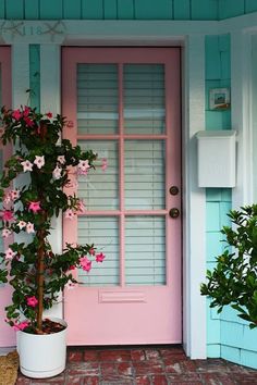 a potted plant sitting in front of a pink door