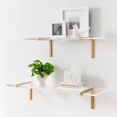 two white shelves with some plants and pictures on them, one shelf is holding books