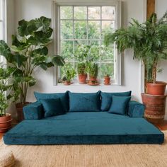 a living room filled with lots of green plants and potted plants on the windowsill