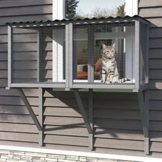 a cat sitting on top of a window sill in front of a gray house