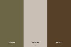 three different shades of brown, green and beige with the words coder2 on them