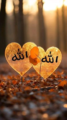 two hearts with arabic writing on them sitting in the middle of leaf covered ground next to trees