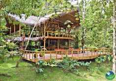 a house in the middle of some trees and grass with lots of plants around it