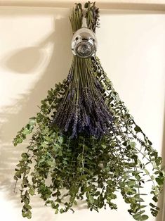 Eucalyptus hanging from shower head with fresh lavender and twine Eucalyptus Bundle, Lavender Bathroom, Eucalyptus Scent, Be More Flexible, Lavender Eucalyptus, Fresh Eucalyptus, Vanilla Essential Oil, Rose Essential Oil, Organic Essential Oils