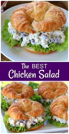 chicken salad sandwich with croissants and lettuce