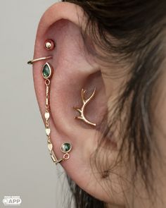 the ear is adorned with three different types of piercings