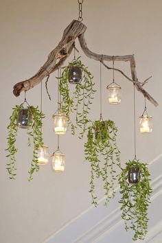 a chandelier made out of branches and glass jars filled with plants hanging from it