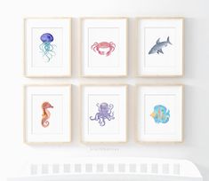 four framed pictures on the wall above a crib with sea animals and fish in them