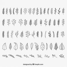 various hand drawn leaves and plants