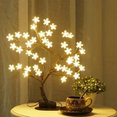 a small potted plant sitting on top of a table next to a lit up tree