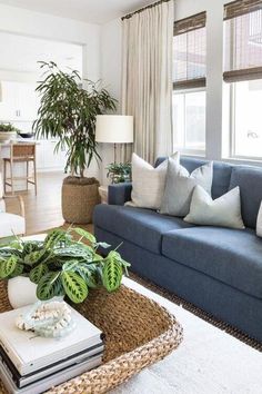 a living room filled with furniture and a large plant on top of a coffee table