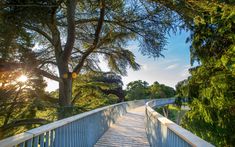 a wooden walkway leading to the top of a hill with trees on both sides and sun shining through the branches