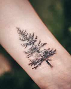 a small pine tree tattoo on the wrist